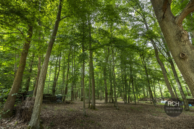Photos du bien : Méré – Propriété à rafraichir dans un environnement exceptionnel