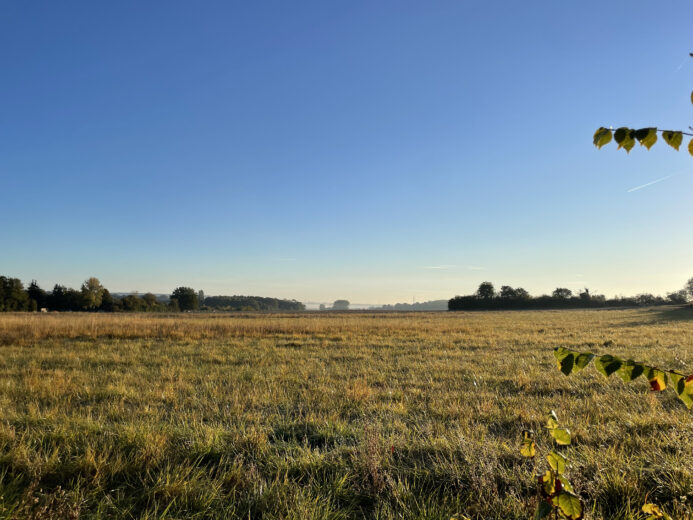 Photos du bien : Exclusivité – Garancières – Très beau terrain constructible