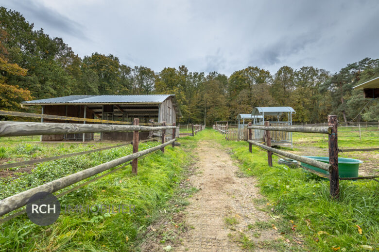 Photos du bien : Jouars-Pontchartrain – Propriété équestre dans un environnement exceptionnel avec accès forêt