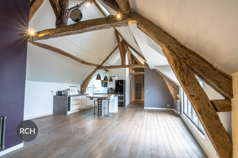 Photos du bien : Neauphle-le-Château – Centre historique – Très bel appartement au dernier étage entièrement rénové avec grande terrasse et vue panoramique
