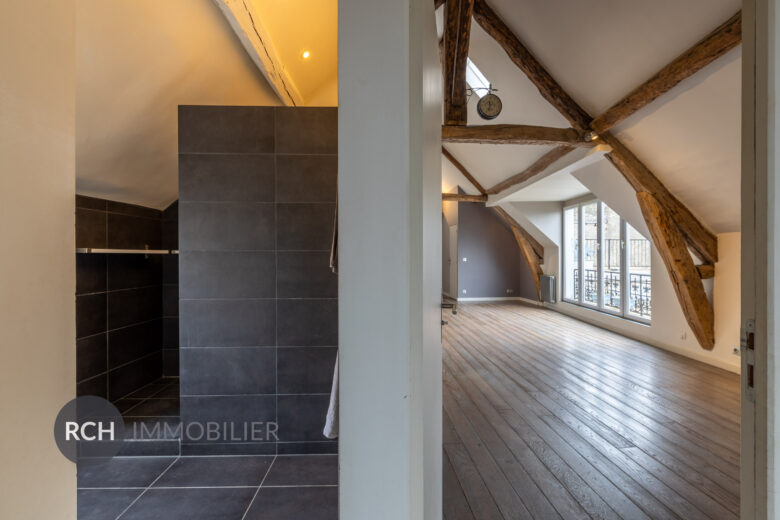 Photos du bien : Neauphle-le-Château – Centre historique – Très bel appartement au dernier étage entièrement rénové avec grande terrasse et vue panoramique