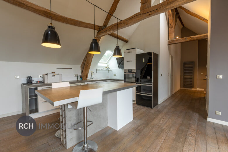 Photos du bien : Neauphle-le-Château – Centre historique – Très bel appartement au dernier étage entièrement rénové avec grande terrasse et vue panoramique