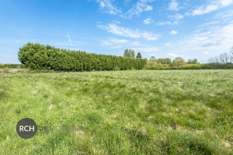 Photos du bien : Exclusivité – Grosrouvre – Terrain à bâtir d’environ 8000 m²