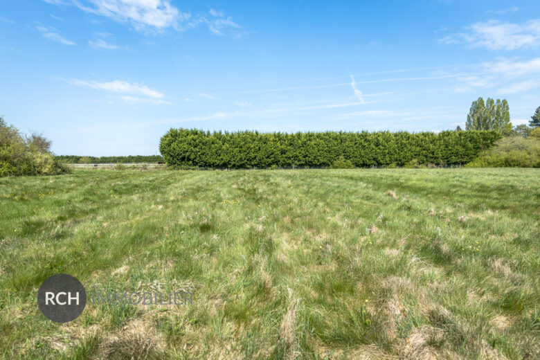 Photos du bien : Exclusivité – Grosrouvre – Terrain à bâtir d’environ 8000 m²