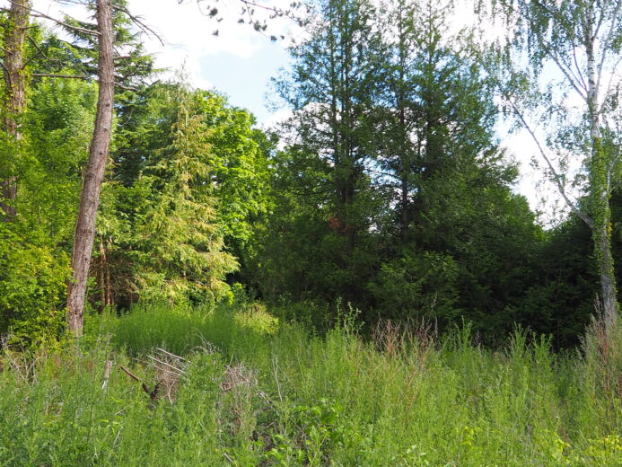 Photos du bien : Exclusivité – Bazoches-sur-Guyonne – Terrain à bâtir viabilisé de 2040 m²