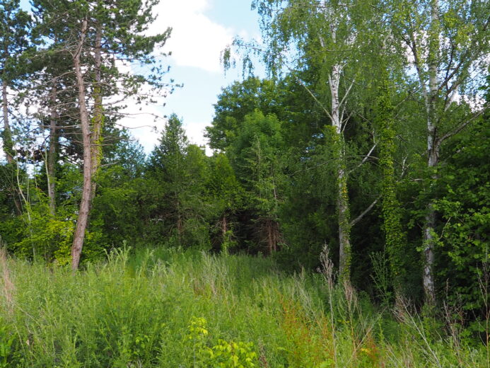 Photos du bien : Exclusivité – Bazoches-sur-Guyonne – Terrain à bâtir viabilisé de 2040 m²