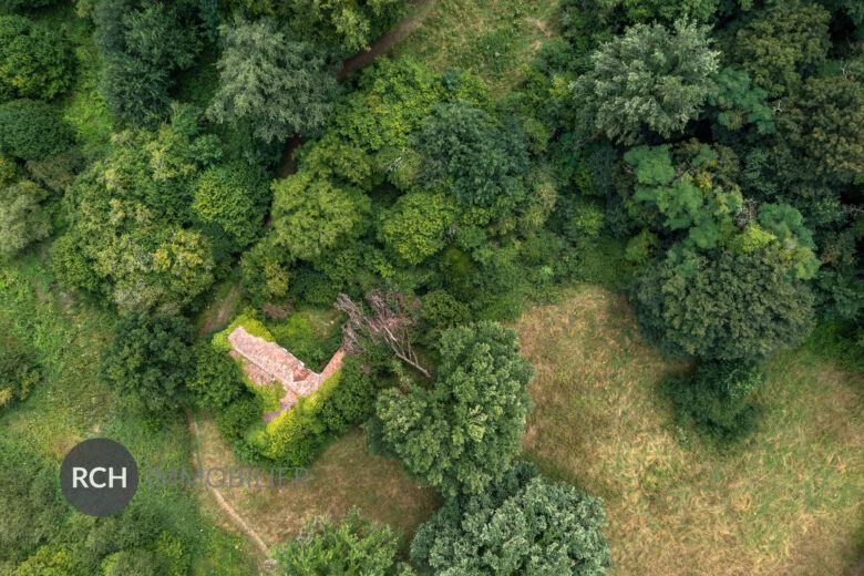 Photos du bien : Dampierre en Yvelines – Propriété à rénover sur un parc de 2,4 Hectares