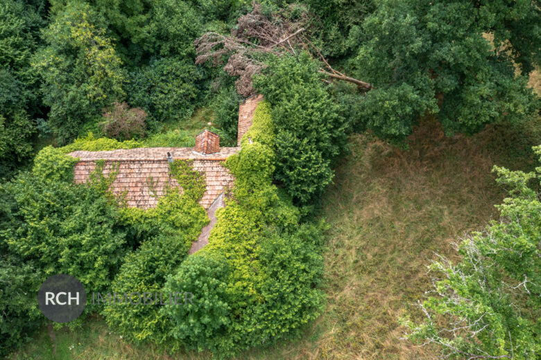 Photos du bien : Dampierre en Yvelines – Propriété à rénover sur un parc de 2,4 Hectares