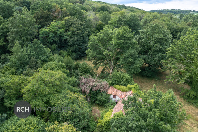 Photos du bien : Dampierre en Yvelines – Propriété à rénover sur un parc de 2,4 Hectares