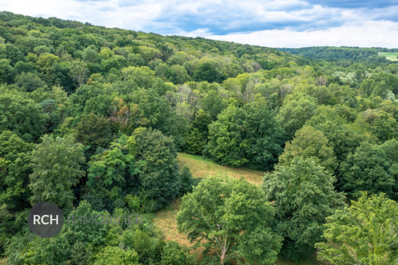 Photos du bien : Dampierre en Yvelines – Propriété à rénover sur un parc de 2,4 Hectares