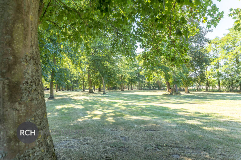 Photos du bien : Houdan – Maison ancienne sur un magnifique parc arboré