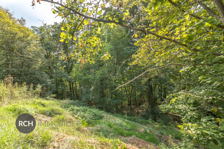 Photos du bien : Neauphle-le-Château – Propriété familiale sur beau terrain arboré