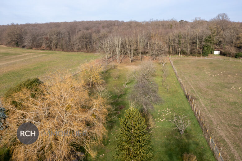 Photos du bien : Exclusivité – Richebourg – Maison familiale avec grand terrain dans un environnement préservé