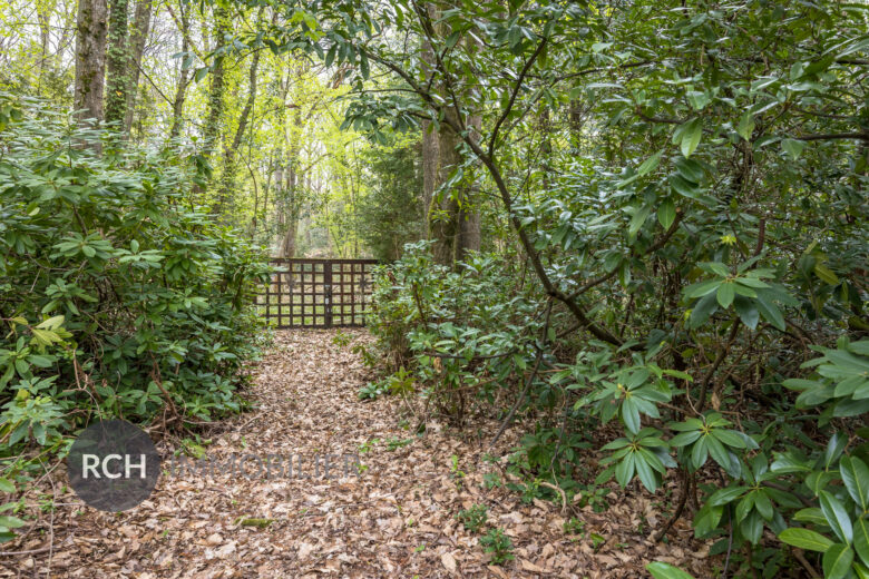 Photos du bien : Exclusivité – Adainville – Demeure de charme dans un écrin de nature au calme absolu