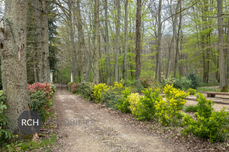 Photos du bien : Exclusivité – Adainville – Demeure de charme dans un écrin de nature au calme absolu