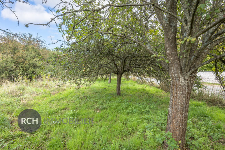 Photos du bien : Condé-sur-Vesgre – Très beau terrain constructible de 700m²