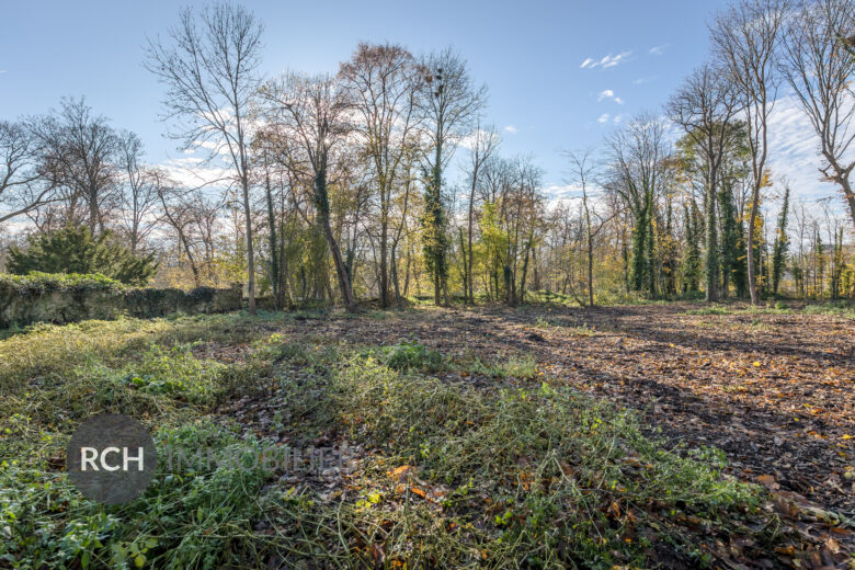 Photos du bien : Montfort l’Amaury centre – Beau terrain viabilisé