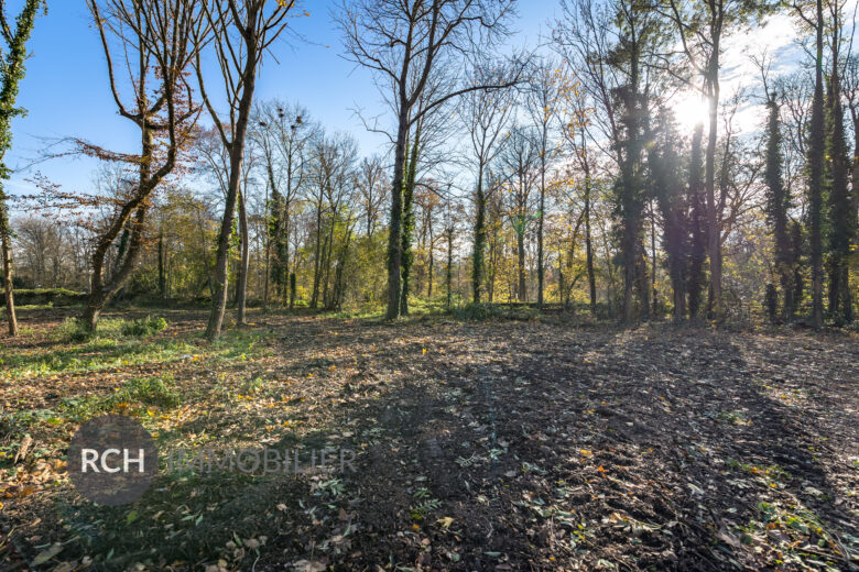 Photos du bien : Montfort l’Amaury centre – Beau terrain viabilisé