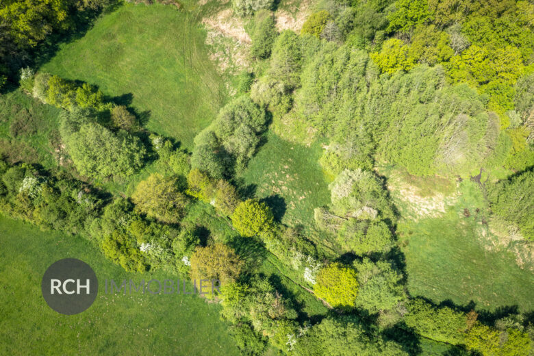 Photos du bien : Exclusivité – Adainville – Propriété ancienne dans un environnement exceptionnel
