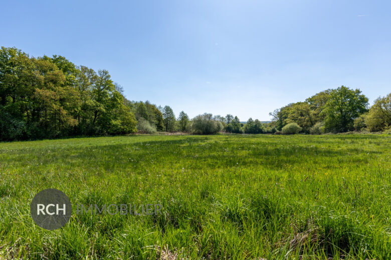 Photos du bien : Exclusivité – Adainville – Propriété ancienne dans un environnement exceptionnel