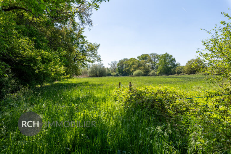 Photos du bien : Exclusivité – Adainville – Propriété ancienne dans un environnement exceptionnel