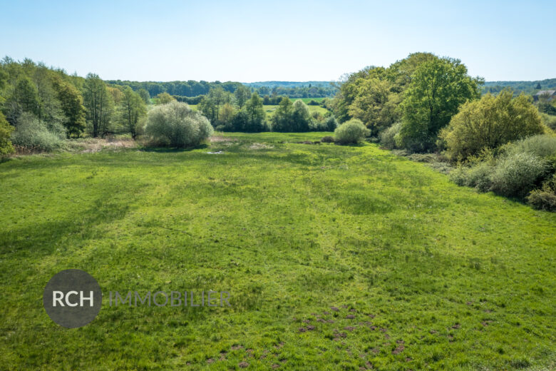 Photos du bien : Exclusivité – Adainville – Propriété ancienne dans un environnement exceptionnel