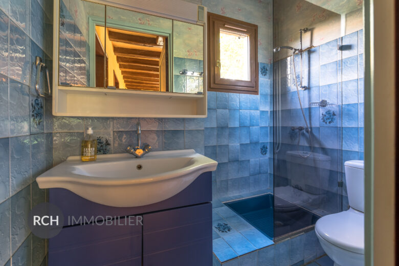 Photos du bien : Exclusivité – Boutigny-Prouais – Maison ancienne avec joli jardin