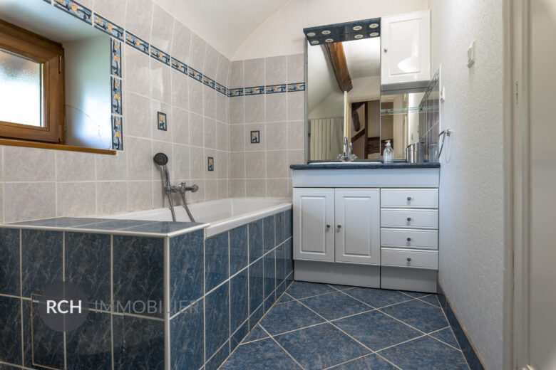 Photos du bien : Exclusivité – Boutigny-Prouais – Maison ancienne avec joli jardin