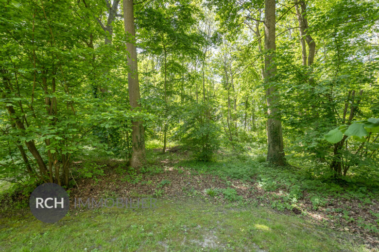 Photos du bien : Gressey – Maison récente nichée en bordure de forêt
