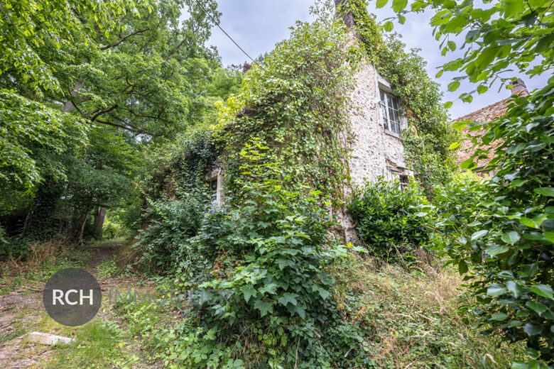 Photos du bien : Grosrouvre – Ensemble de trois maisons à rénover sur un terrain arboré au calme