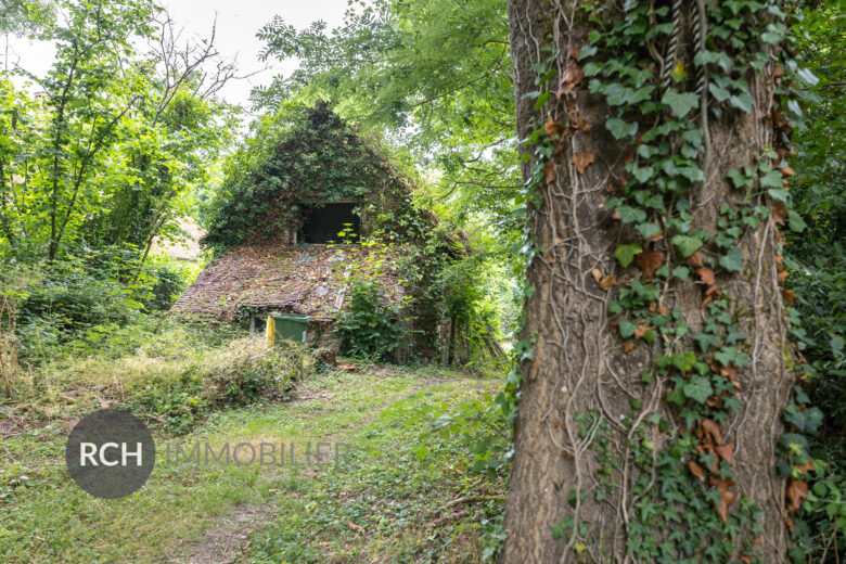 Photos du bien : Grosrouvre – Ensemble de trois maisons à rénover sur un terrain arboré au calme