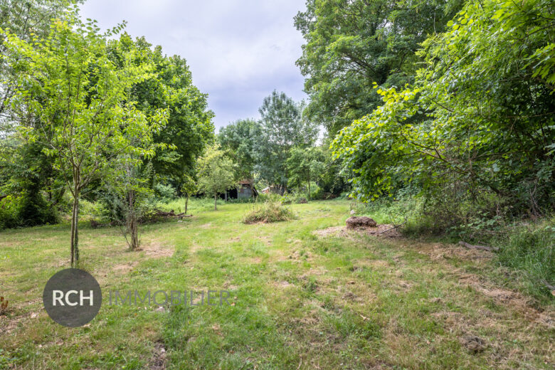 Photos du bien : Grosrouvre – Ensemble de trois maisons à rénover sur un terrain arboré au calme