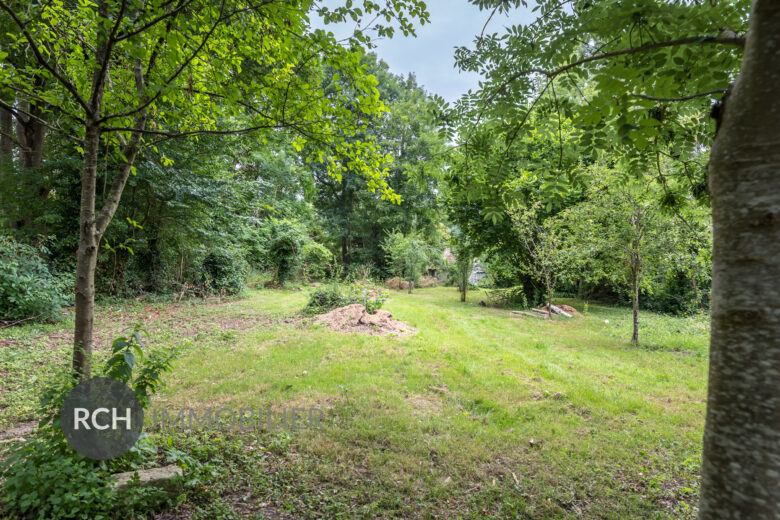 Photos du bien : Grosrouvre – Ensemble de trois maisons à rénover sur un terrain arboré au calme