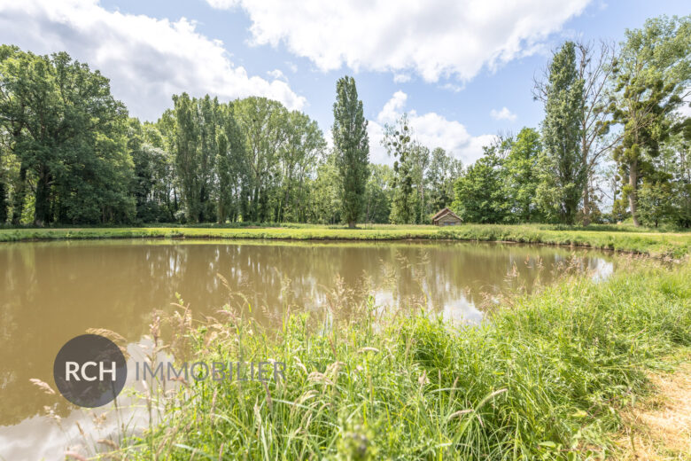 Photos du bien : Exclusivité – Mittainville – Grande propriété familiale avec beau parc arboré