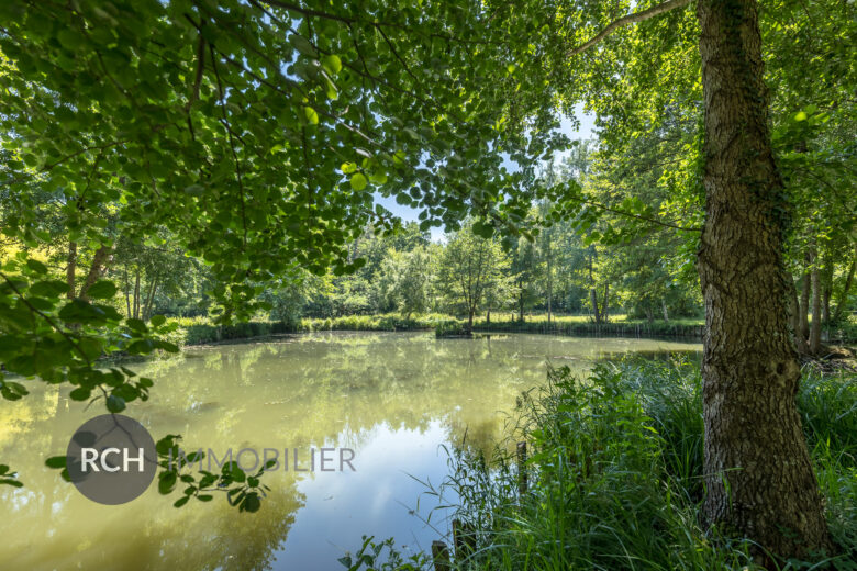 Photos du bien : Sonchamp – Charmant moulin entièrement rénové au coeur d’un parc de 22 hectares