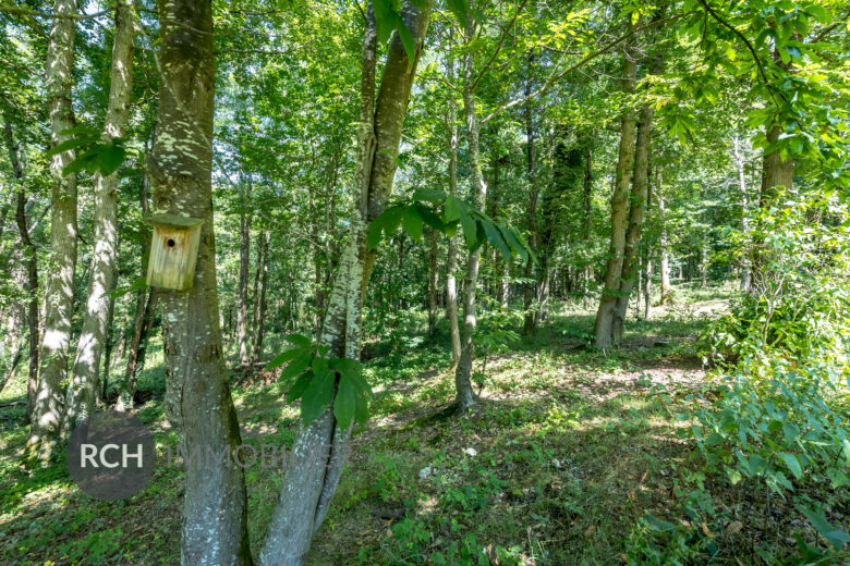 Photos du bien : Bazainville – Maison moderne dans un environnement exceptionnel