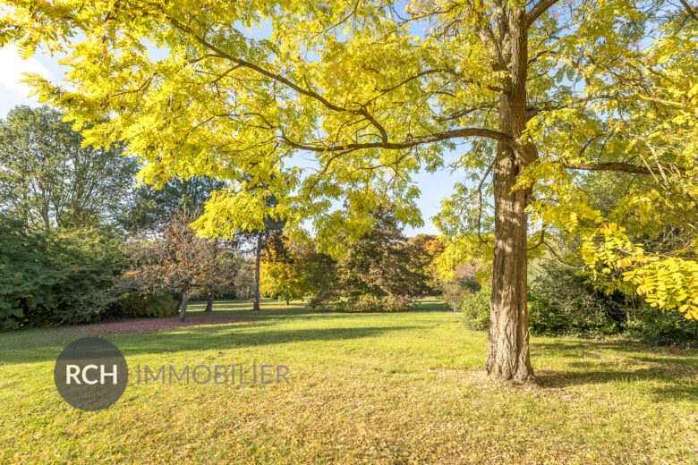 Photos du bien : Bourdonné – Propriété ancienne d&rsquo;exception dans un environnement privilégié
