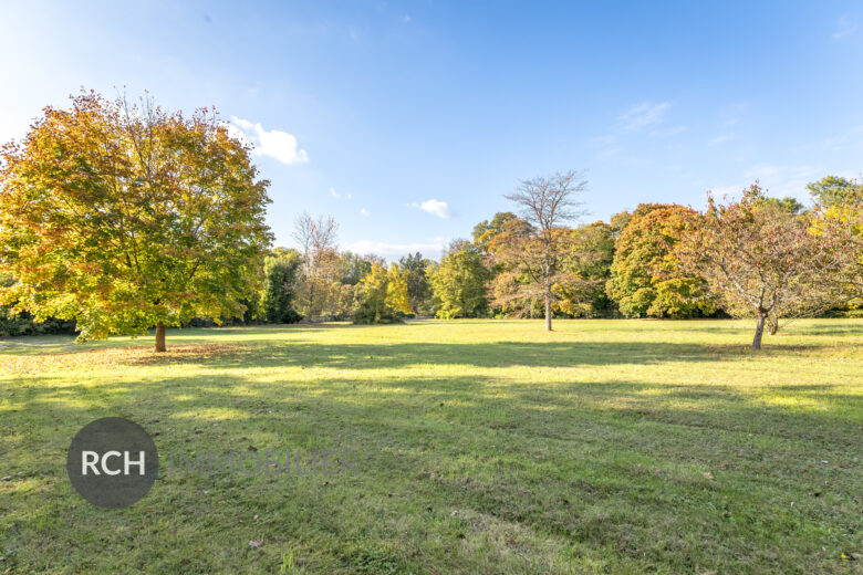 Photos du bien : Bourdonné – Propriété ancienne d&rsquo;exception dans un environnement privilégié