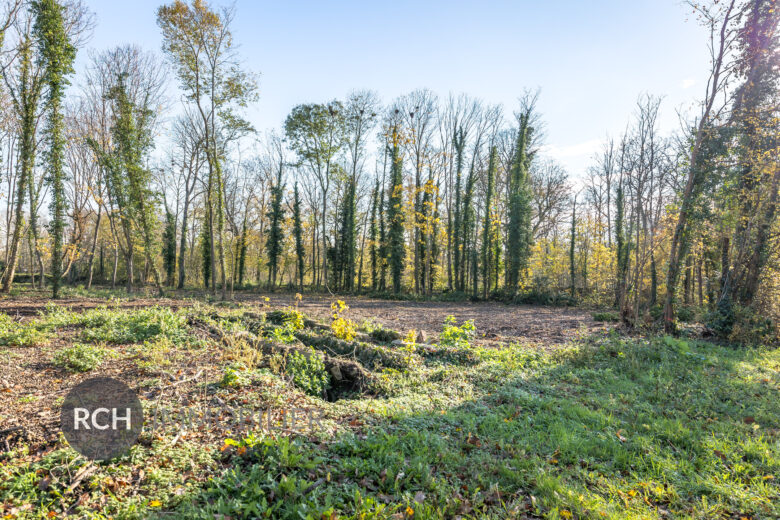 Photos du bien : Montfort l’Amaury centre – Terrain viabilisé proches de toutes commodités