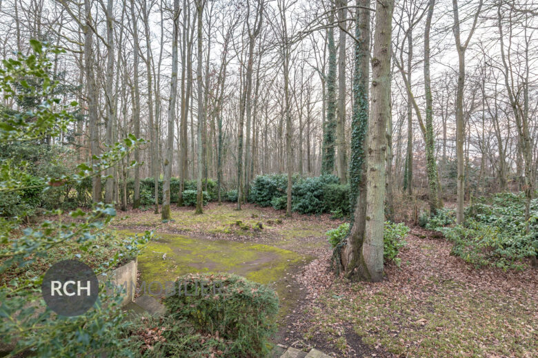Photos du bien : Exclusivité – Le Mesnil Saint Denis – Maison familiale sur beau terrain arboré