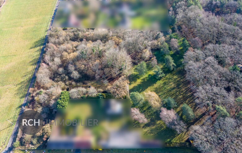 Photos du bien : Exclusivité – Gambais – Grand terrain à bâtir non viabilisé de 10 031 m2 dans un bel environnement