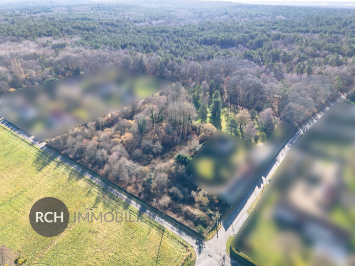 Photos du bien : Exclusivité – Gambais – Grand terrain à bâtir non viabilisé de 10 031 m2 dans un bel environnement