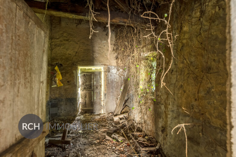 Photos du bien : Exclusivité – Garancières – Maison en pierre à personnaliser avec joli jardin arboré