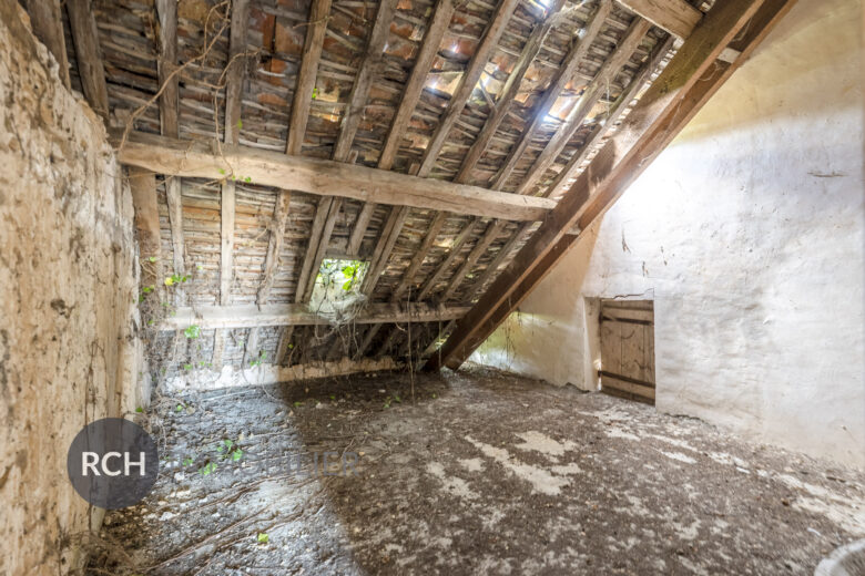 Photos du bien : Exclusivité – Garancières – Maison en pierre à personnaliser avec joli jardin arboré