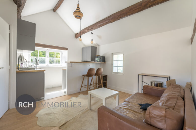 Photos du bien : Richebourg – Charmante maison ancienne avec maison d&rsquo;amis et piscine