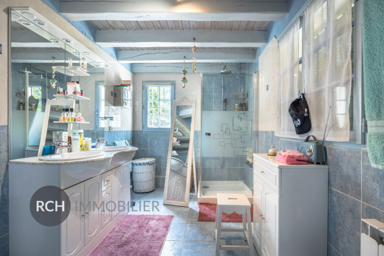 Photos du bien : Condé-sur-Vesgre – Maison de caractère en pierre offrant un beau potentiel